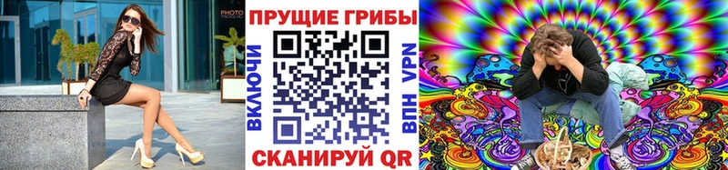 купить  сайты  Новосиль  Псилоцибиновые грибы MAGIC MUSHROOMS 